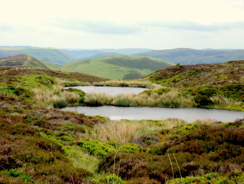 Tarns on Waun Tyisaf