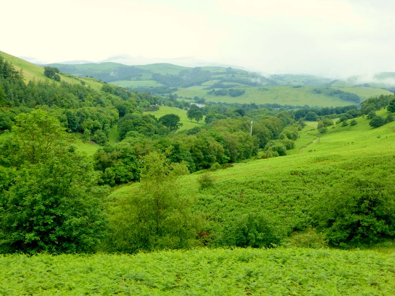 West towards Cemmaes Road (Alternative Route)