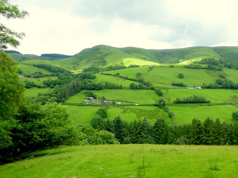 Dugoed and Foel Dugoed from route to Mallwyd