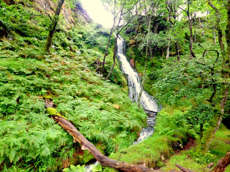 Waterfall near Dduallt