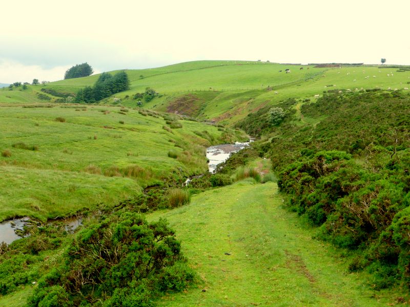 Afon Llechach near Talsarn